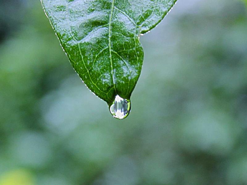 TikTok账号注册<br>2026国际版注册过验证完整教程